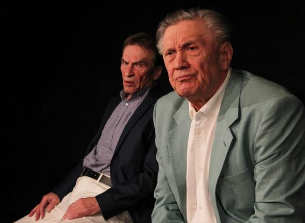 Pan Halpern a pan Johnson